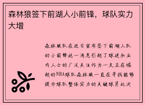 森林狼签下前湖人小前锋，球队实力大增