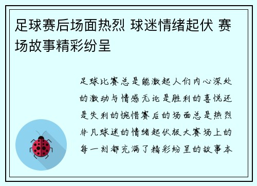 足球赛后场面热烈 球迷情绪起伏 赛场故事精彩纷呈