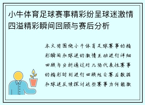 小牛体育足球赛事精彩纷呈球迷激情四溢精彩瞬间回顾与赛后分析
