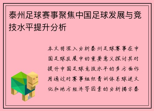 泰州足球赛事聚焦中国足球发展与竞技水平提升分析