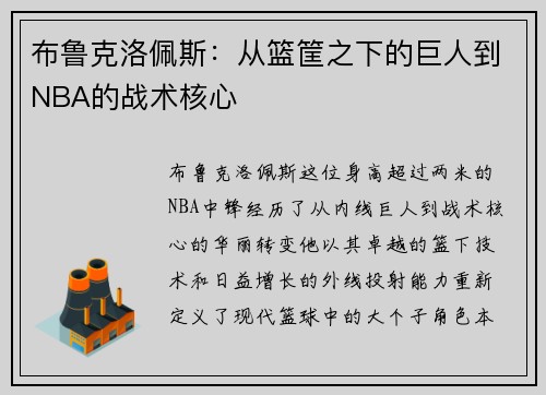 布鲁克洛佩斯：从篮筐之下的巨人到NBA的战术核心