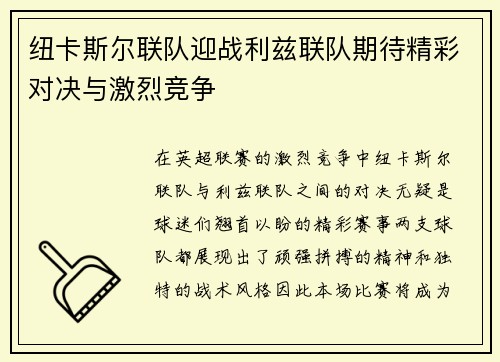 纽卡斯尔联队迎战利兹联队期待精彩对决与激烈竞争