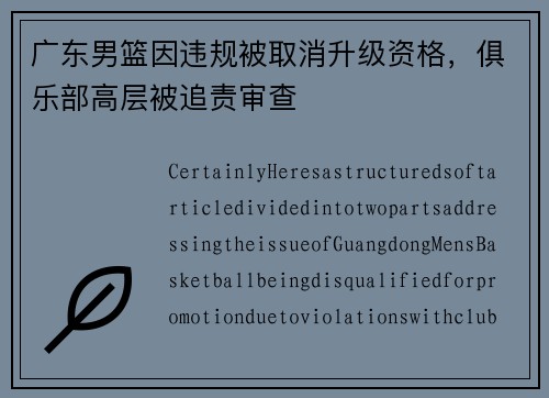 广东男篮因违规被取消升级资格，俱乐部高层被追责审查